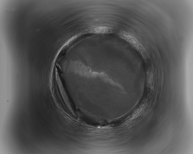 X0000097890392200803211359