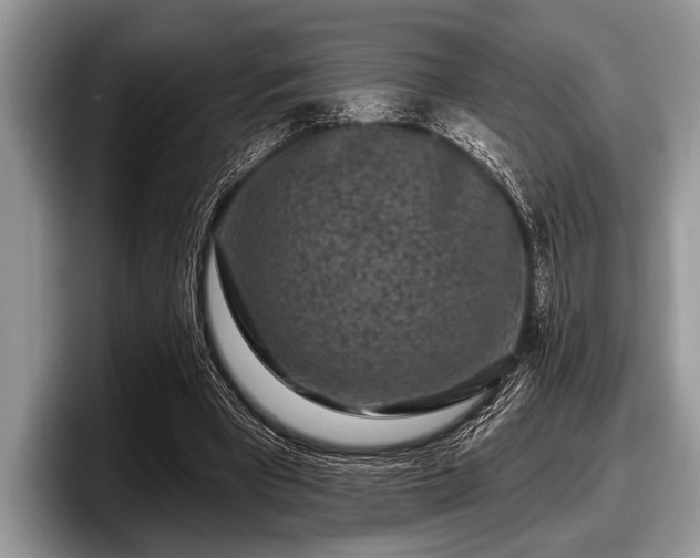 X0000097890393200803211359