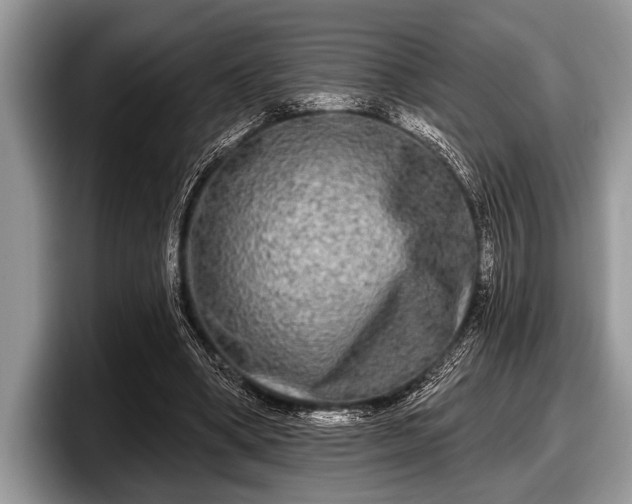 X0000097890394200803211359