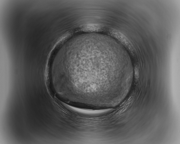 X0000097890396200803211359