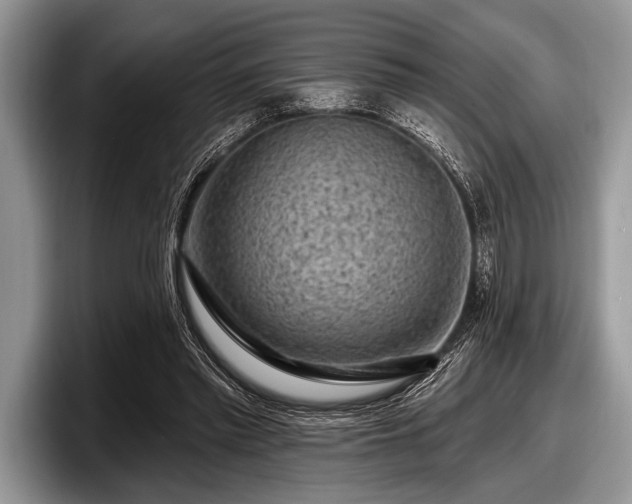 X0000097890397200803211359