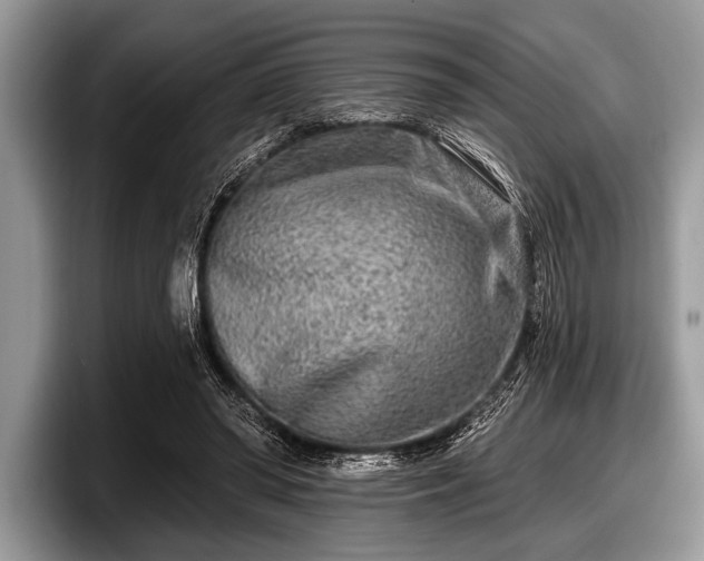 X0000097890398200803211359