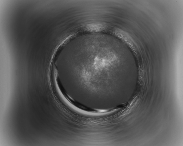 X0000097890399200803211359