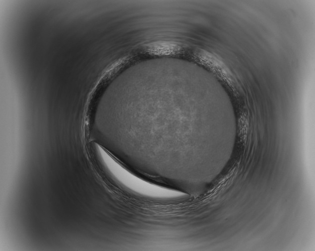 X0000097890400200803211359