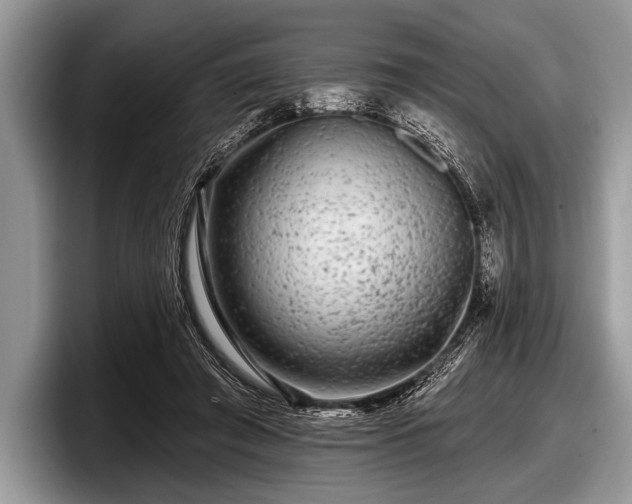 X0000097890401200803211359