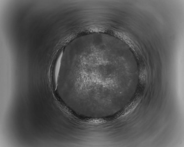 X0000097890402200803211359