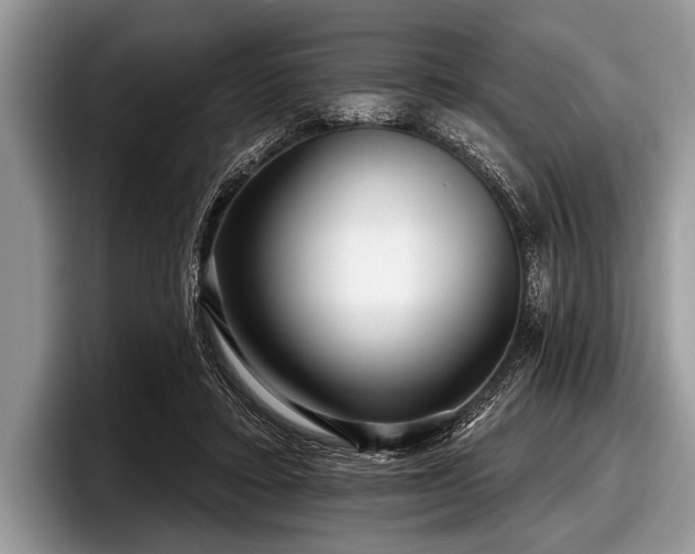 X0000097890403200803211359