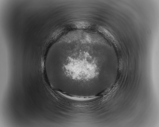 X0000097890405200803211359