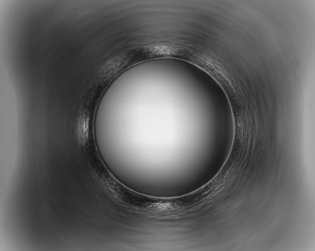 X0000097890406200803211359