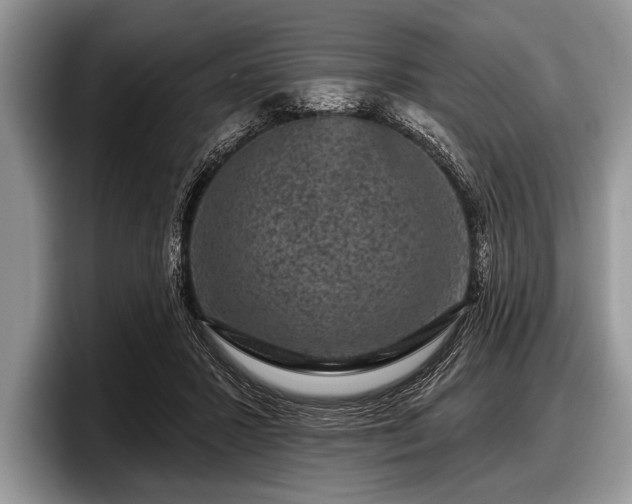 X0000097890407200803211359