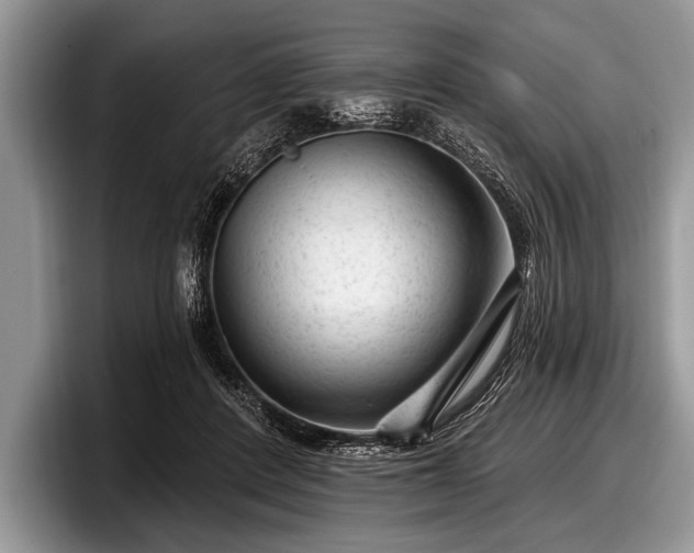 X0000097890408200803211359