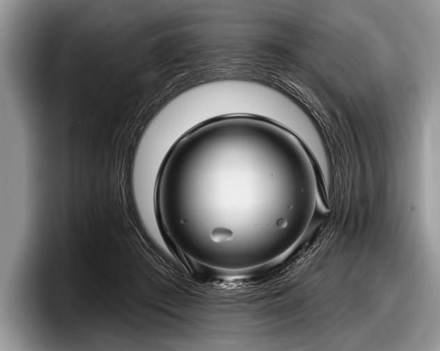 X0000097890409200803211359