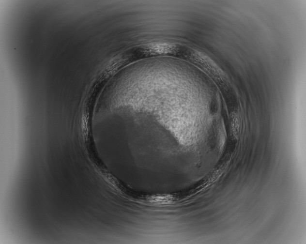 X0000097890410200803211359