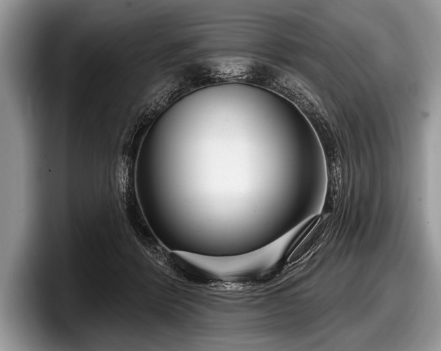 X0000097890412200803211359