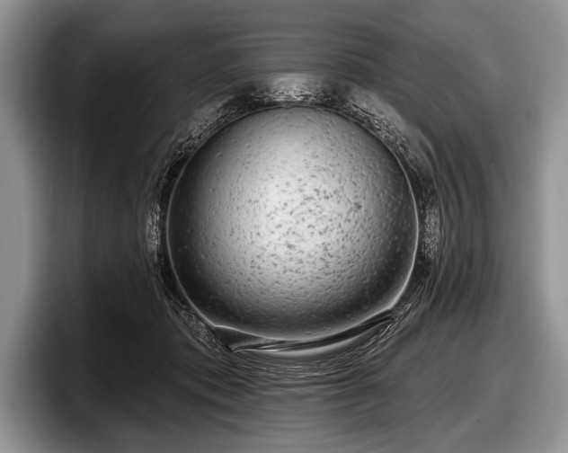 X0000097890413200803211359