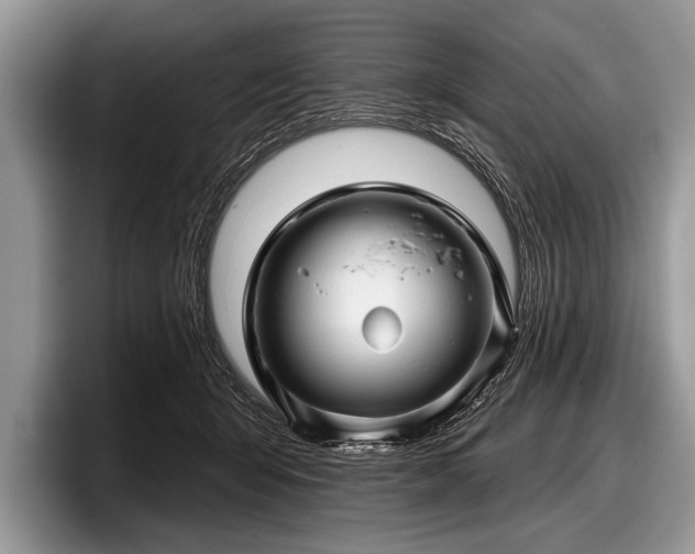 X0000097890415200803211359