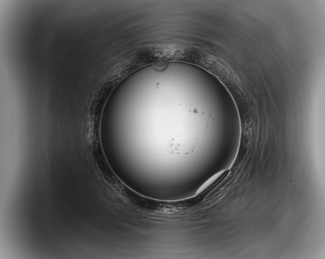 X0000097890416200803211359