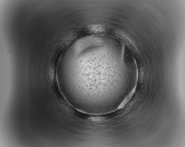 X0000097890417200803211359