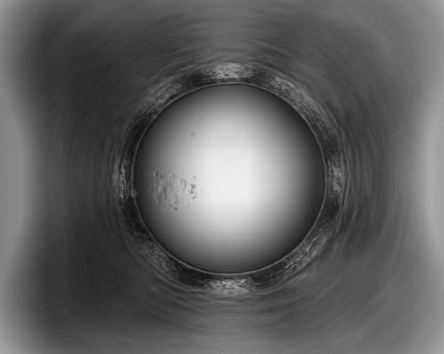 X0000097890422200803211359