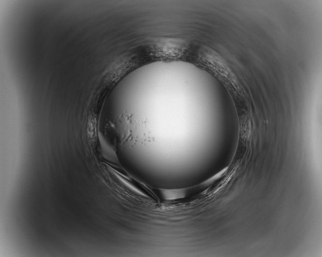 X0000097890425200803211359