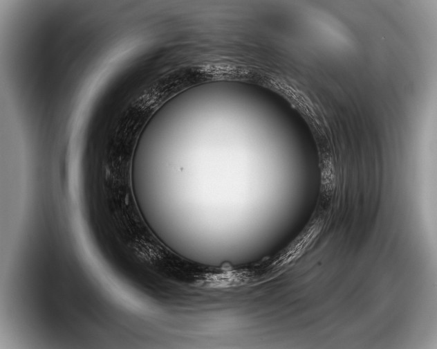 X0000097890430200803211359