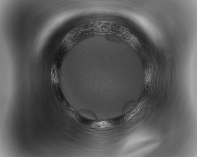 X0000097890431200803211359