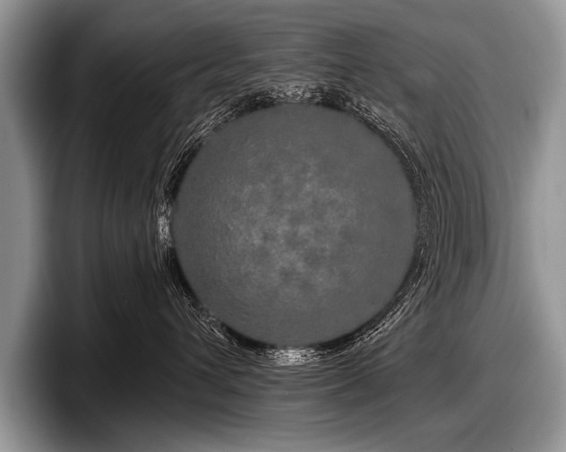 X0000097890432200803211359