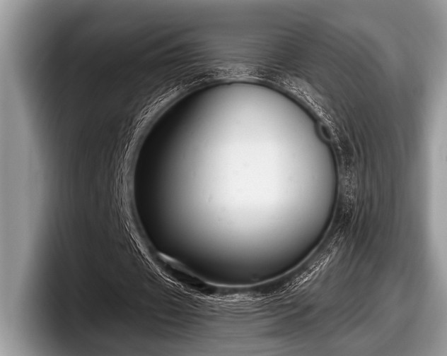 X0000097890433200803211358