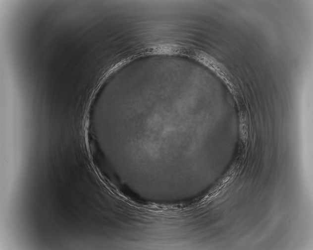 X0000097890434200803211358