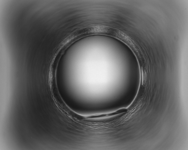 X0000097890435200803211358