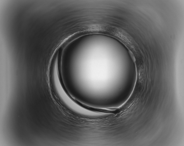 X0000097890436200803211358