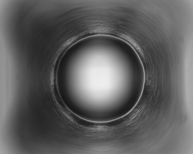 X0000097890437200803211358