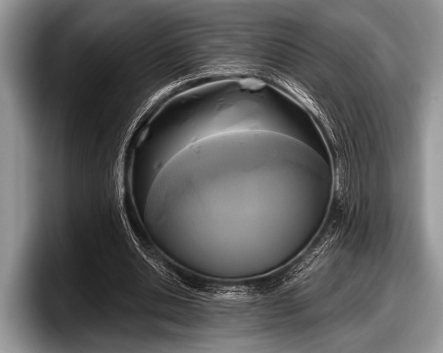 X0000097890438200803211358