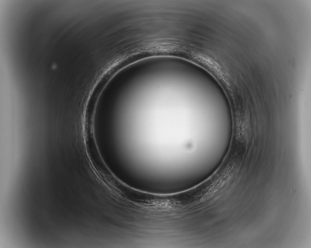 X0000097890439200803211358