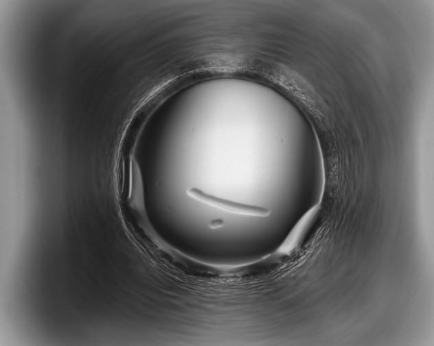 X0000097890440200803211358