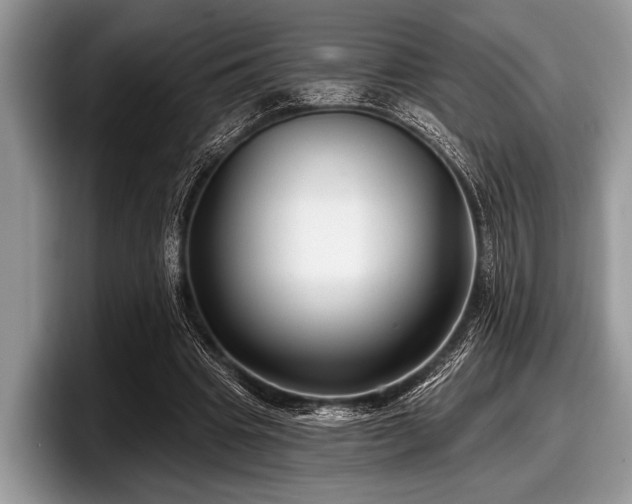 X0000097890441200803211358