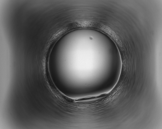 X0000097890442200803211358