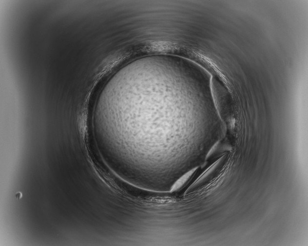 X0000097890443200803211358