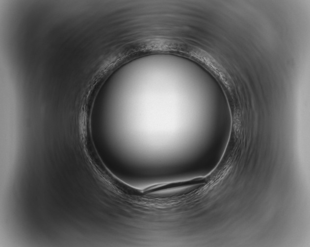 X0000097890445200803211358