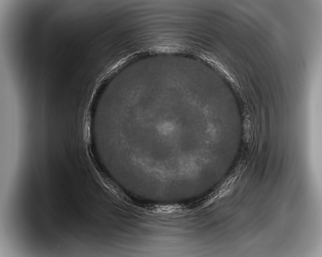 X0000097890446200803211358