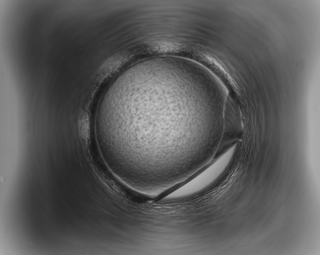 X0000097890447200803211358