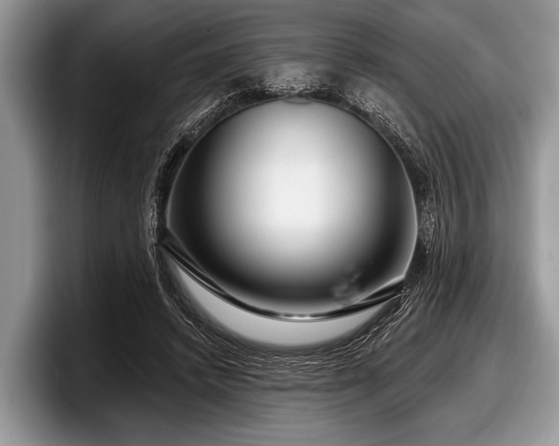 X0000097890448200803211359