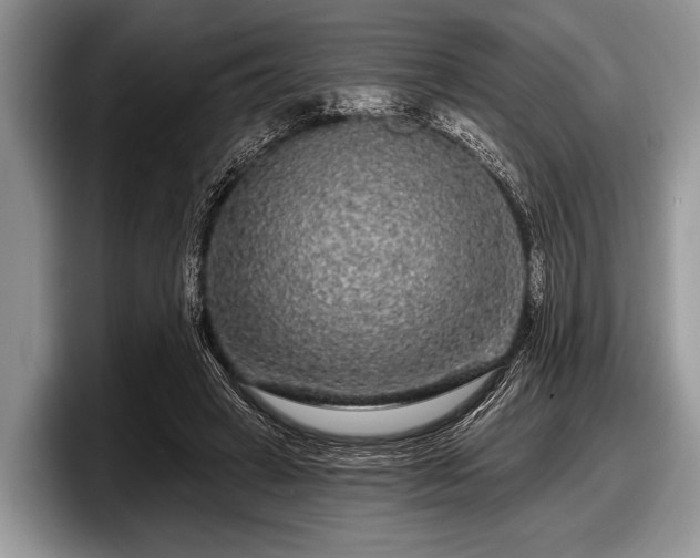 X0000097890449200803211359