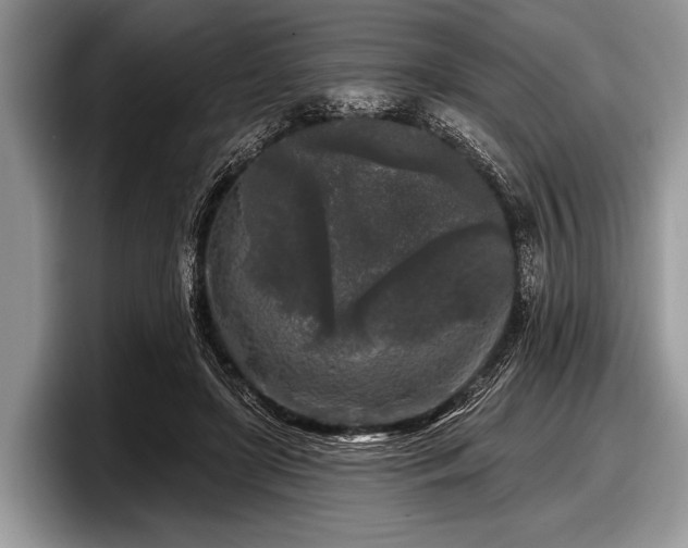 X0000097890451200803211359