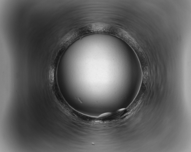 X0000097890454200803211359