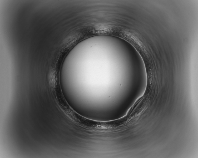 X0000097890455200803211359