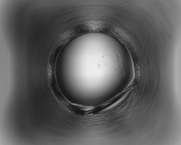 X0000097890456200803211359