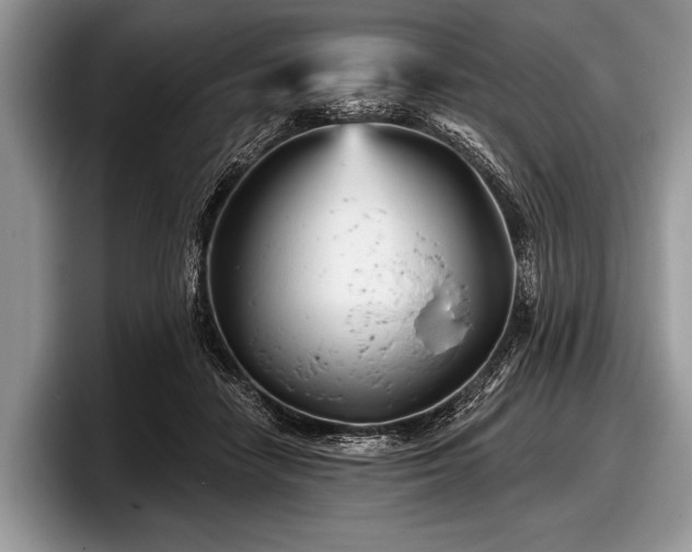 X0000097890458200803211359