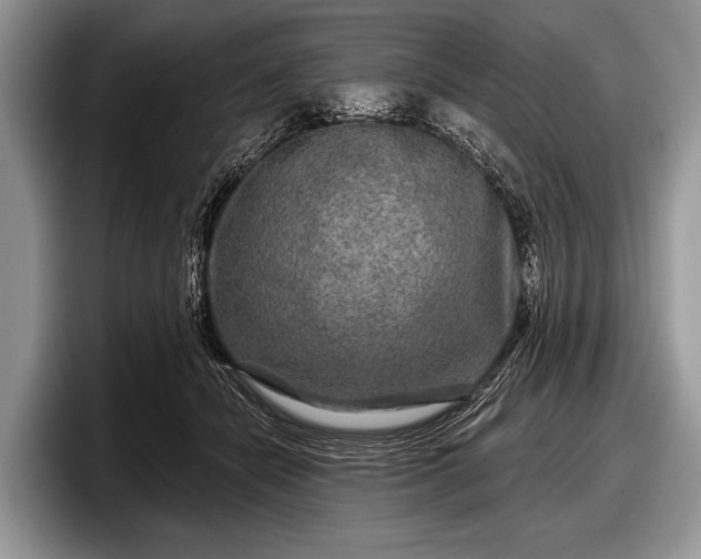 X0000097890462200803211359