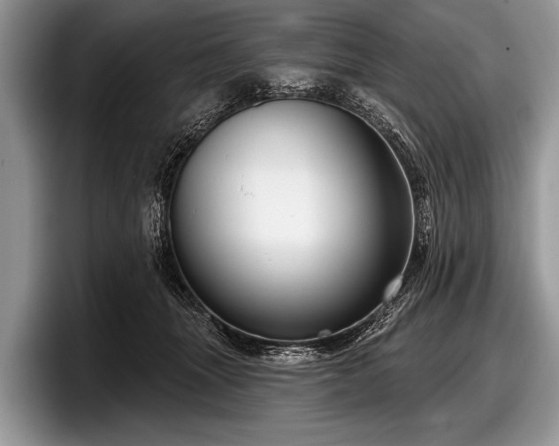 X0000097890463200803211359